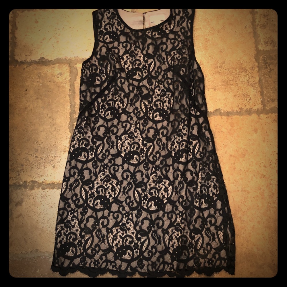 Ann Taylor Loft Black Lace Sheath Dress